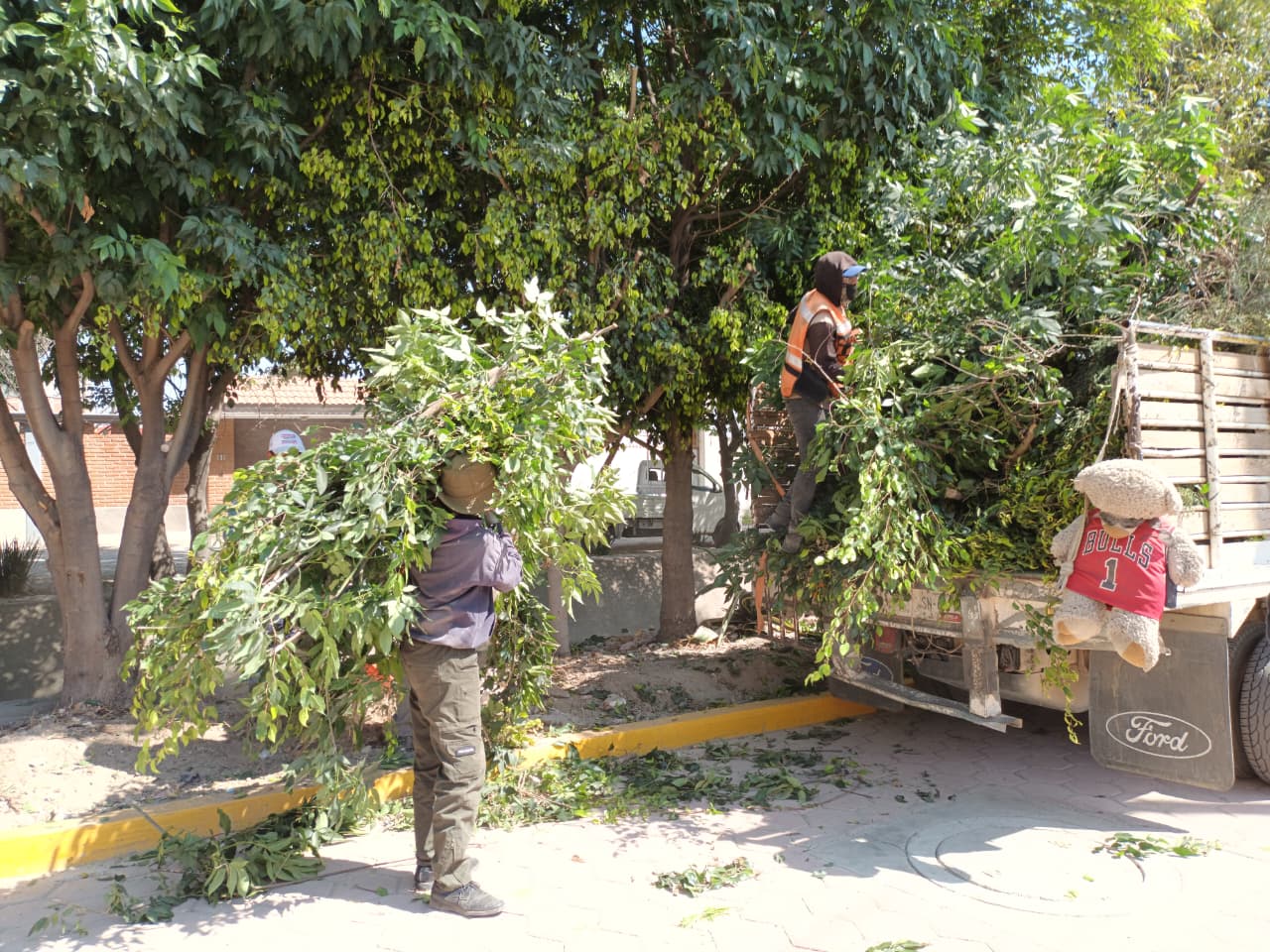 whatsapp image 2026 02 06 at 8.02.18 am