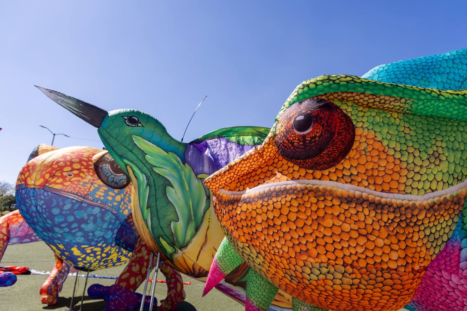 Volarte Cartoons Festival 2026 llegará a San Andrés Cholula con espectáculo internacional y ambiente familiar