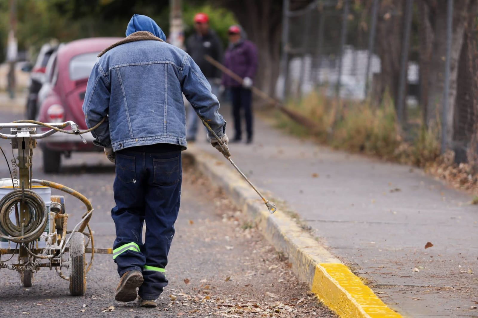 whatsapp image 2026 02 01 at 2.08.01 pm