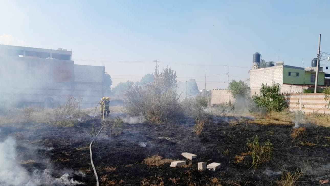 whatsapp image 2026 02 01 at 8.53.37 pm 1