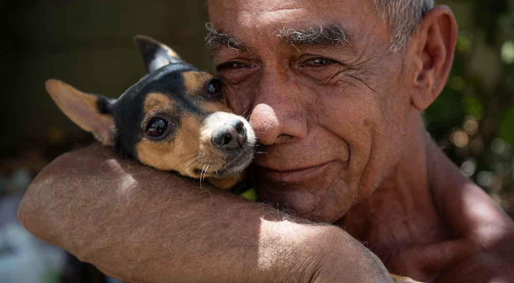 Perrita Sarita rescatada entre los escombros en Venezuela.