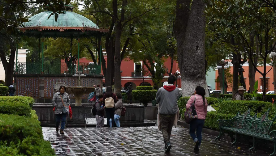 Mujer recibiendo atención psicológica en un consultorio.