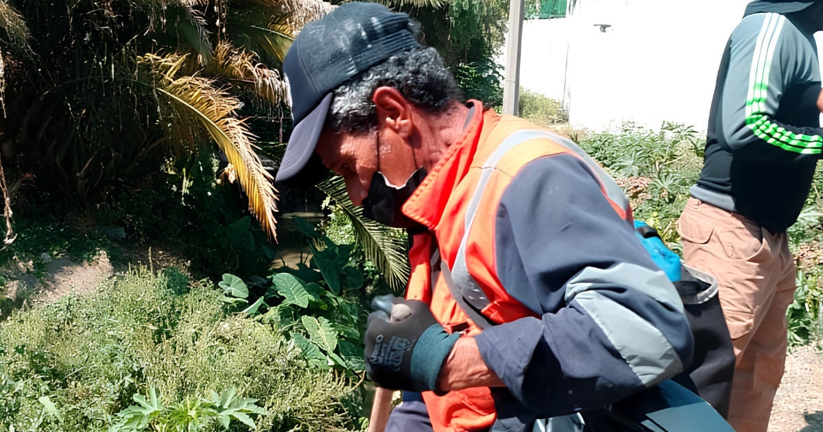 El Organismo Operador del Servicio de Limpia participó en una jornada interinstitucional para la recuperación de espacios naturales