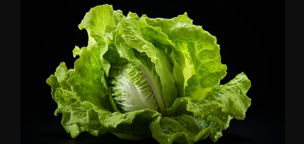 La lechuga vuelve a ganar atención por sus beneficios digestivos