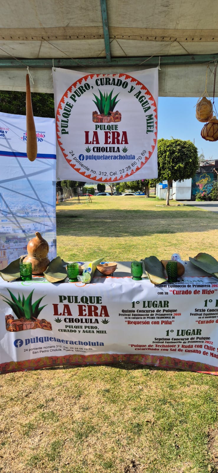 whatsapp image 2026 03 10 at 5.12.31 pm