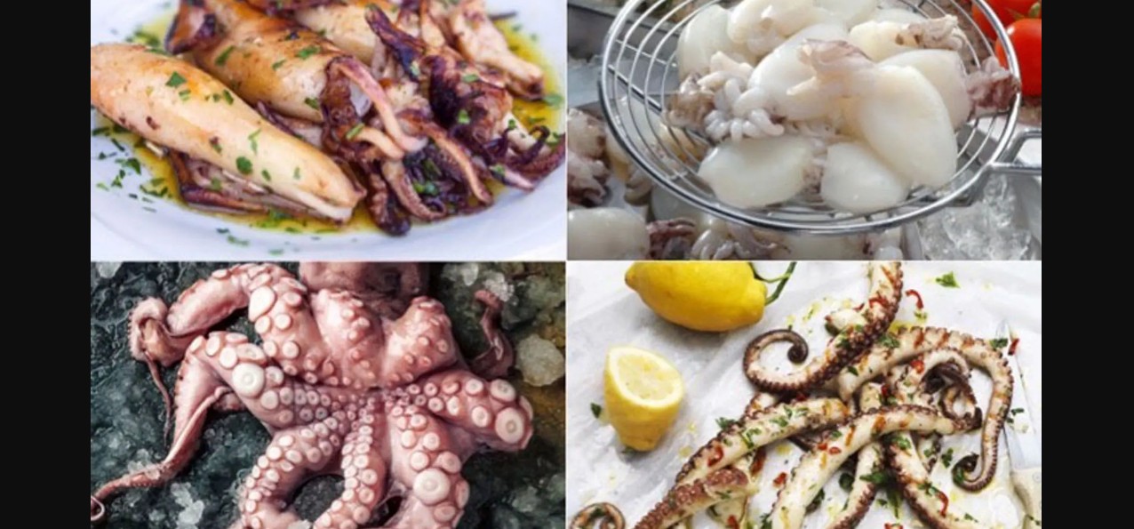 Pulpo o calamar: qué dice la ciencia sobre cuál es más saludable
