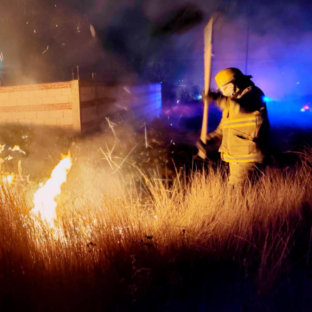 whatsapp image 2026 03 15 at 11.09.14 am