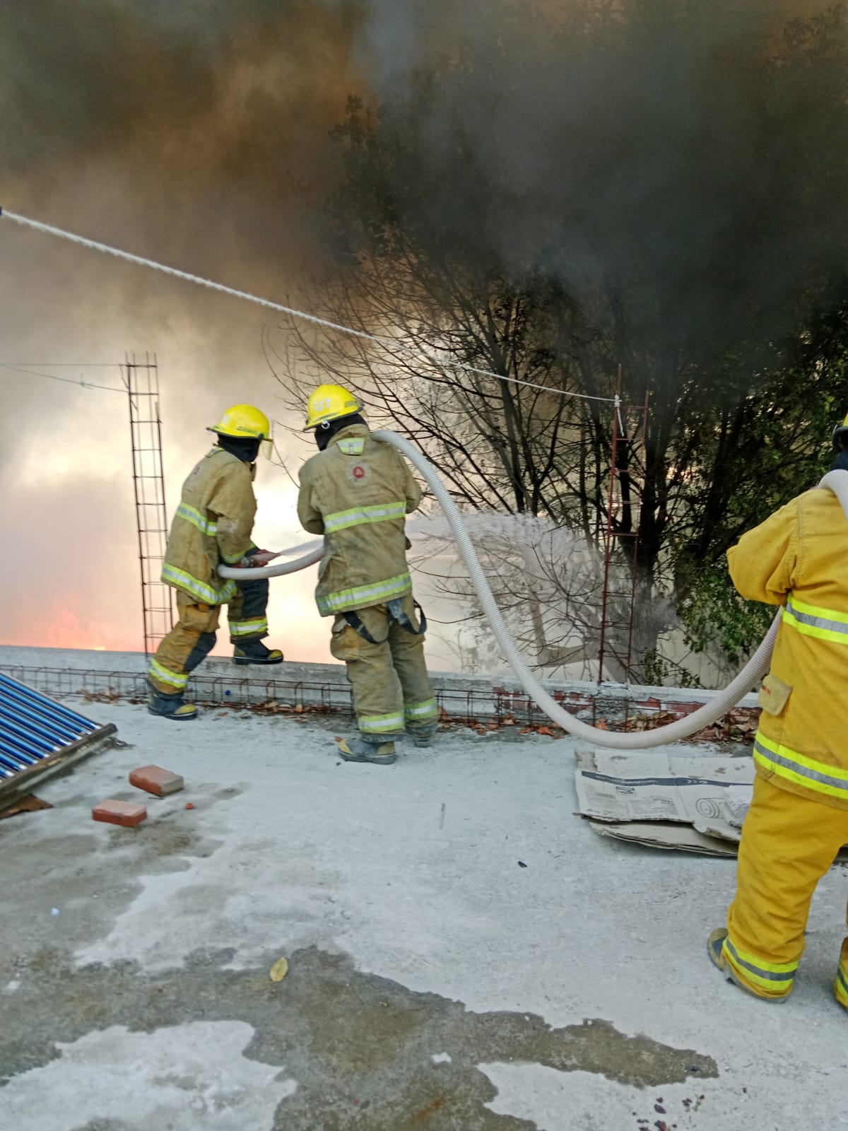 whatsapp image 2026 03 16 at 1.44.48 pm