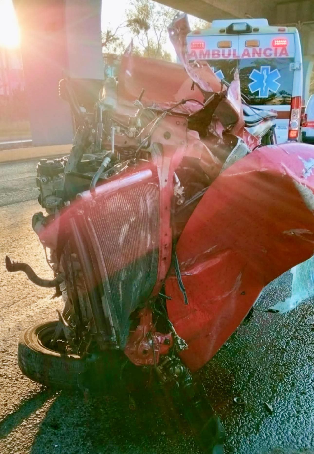 whatsapp image 2026 03 22 at 7.33.03 pm