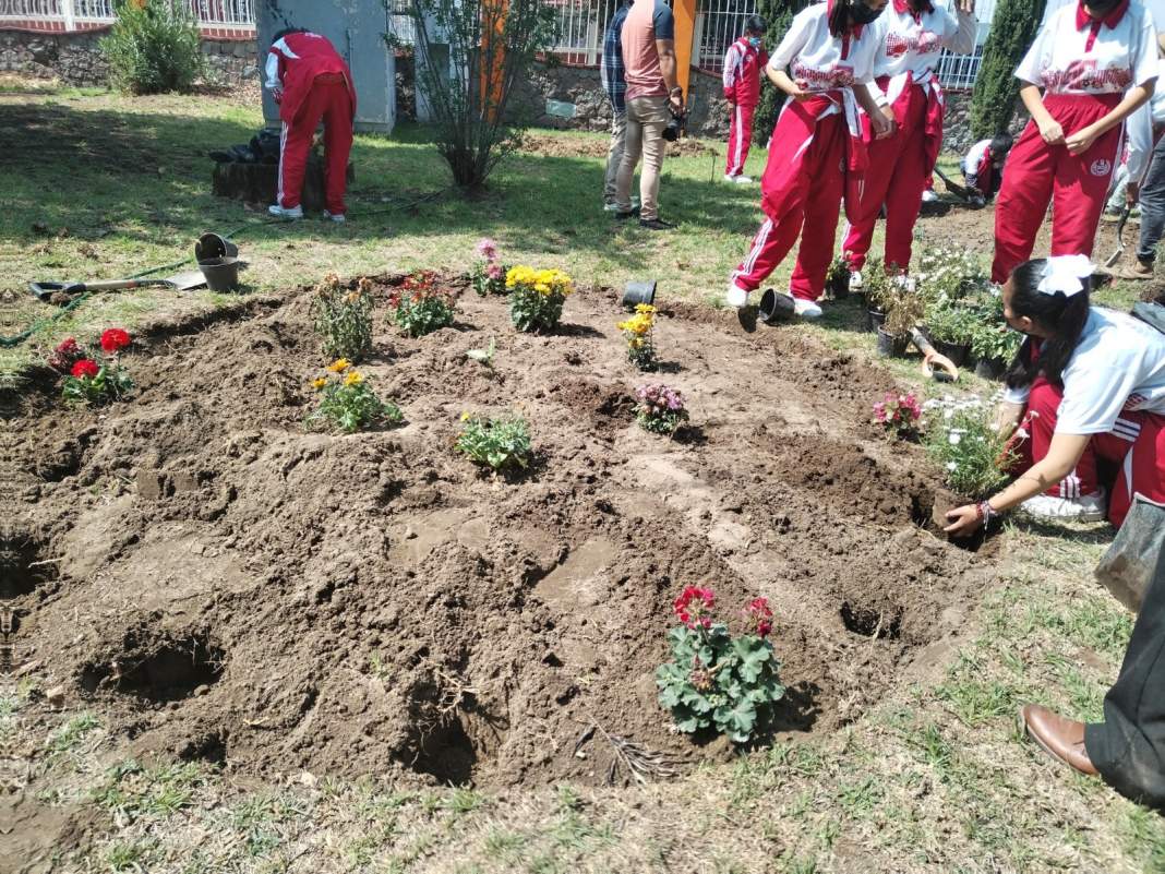 Tlaxcala activa programa verde 2026 y abre apoyos que podrían transformar miles de hogares