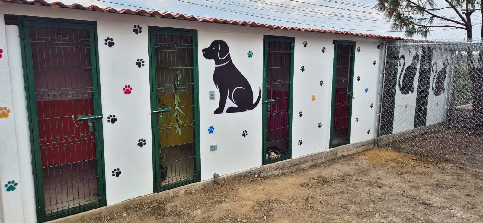 whatsapp image 2026 03 24 at 5.28.44 pm