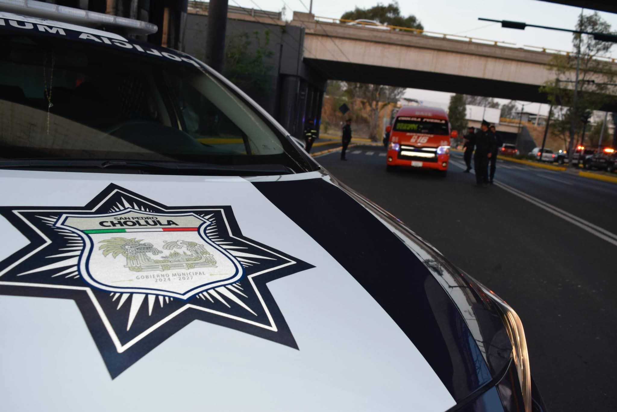 whatsapp image 2026 03 24 at 7.16.17 pm