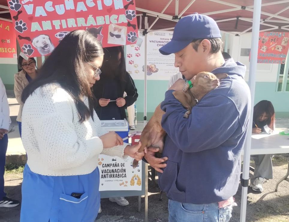 ¡Tlaxcala acelera vacunación gratuita para mascotas y busca blindarse contra la rabia en 2026!
