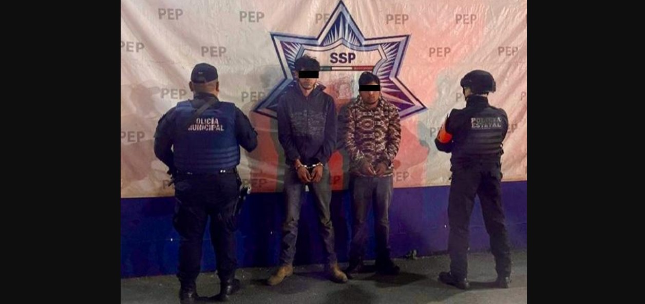 Refuerzan vigilancia ambiental y aseguran madera en Teziutlán