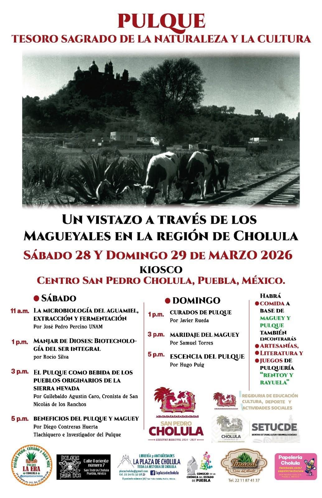 whatsapp image 2026 03 26 at 8.15.59 pm