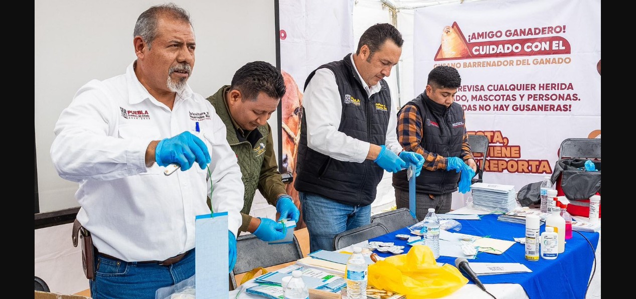 Refuerzan vigilancia ganadera en la Sierra Negra