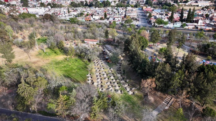 Serán 350 árboles los que modificará gobierno de Puebla por cablebús 