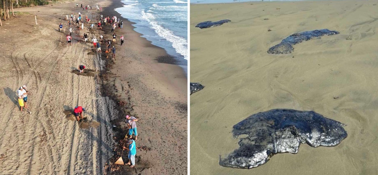 Organizaciones exhiben nueva versión del derrame