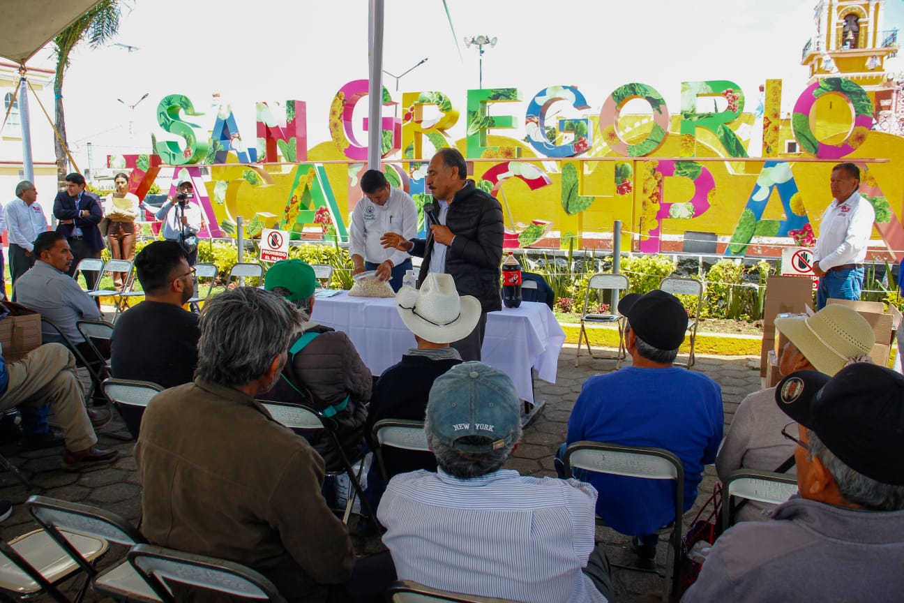 whatsapp image 2026 03 31 at 4.26.28 pm