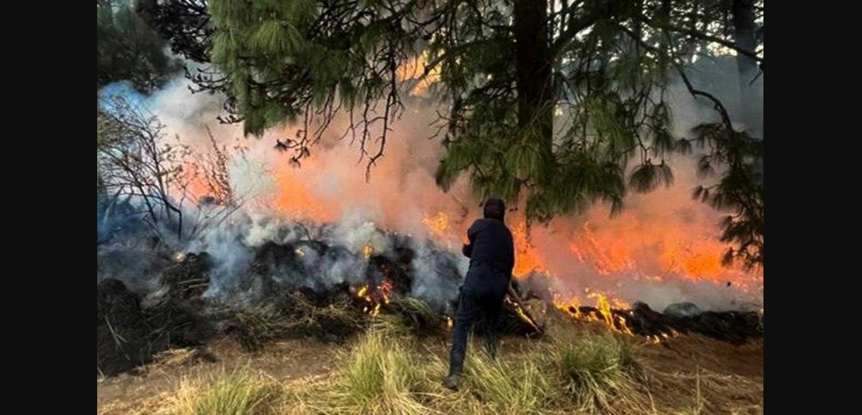 Coordinan esfuerzos y logran controlar incendios en tres municipios