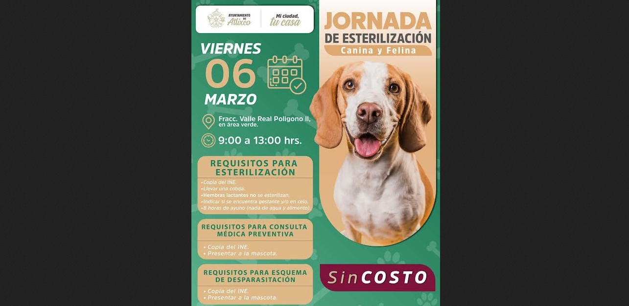 Atlixco impulsa jornada gratuita para esterilizar perros y gatos
