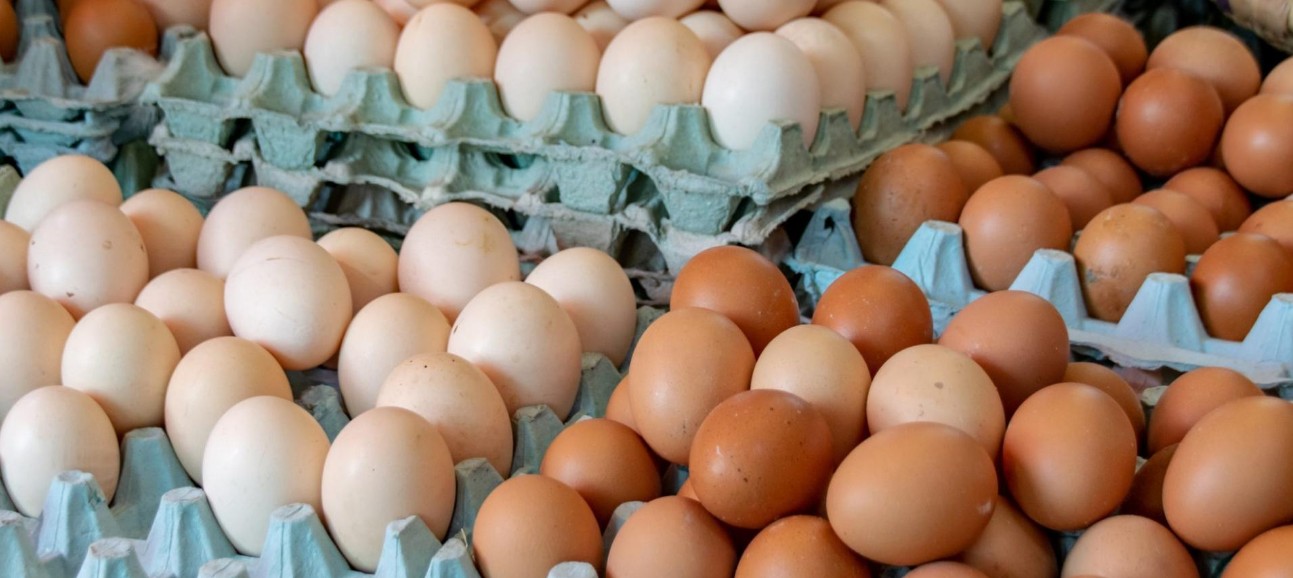 Profeco aclara el mito de lavar el huevo antes de cocinarlo