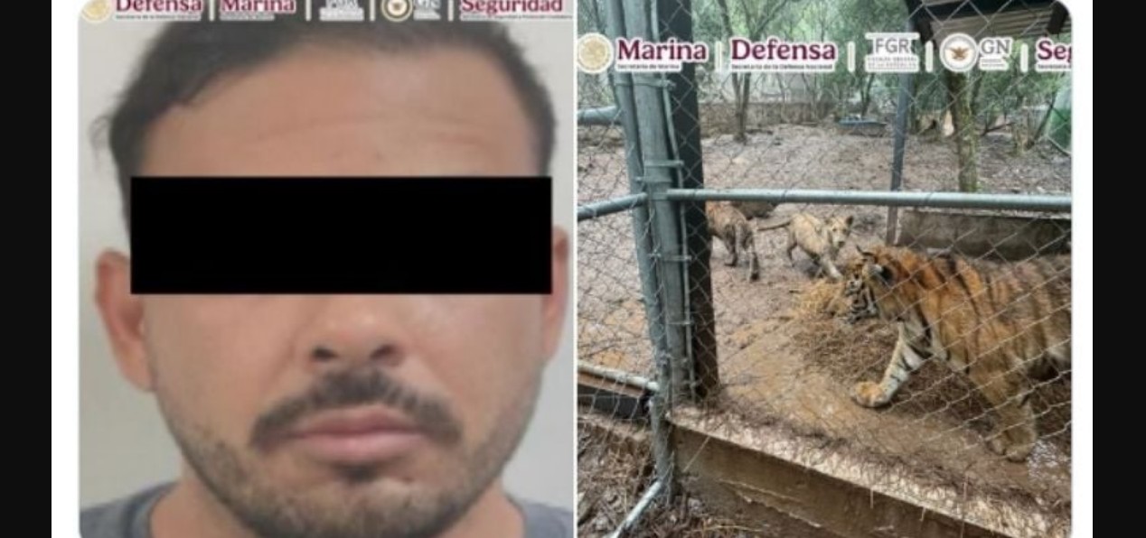 Elementos federales durante operativo en Nuevo León