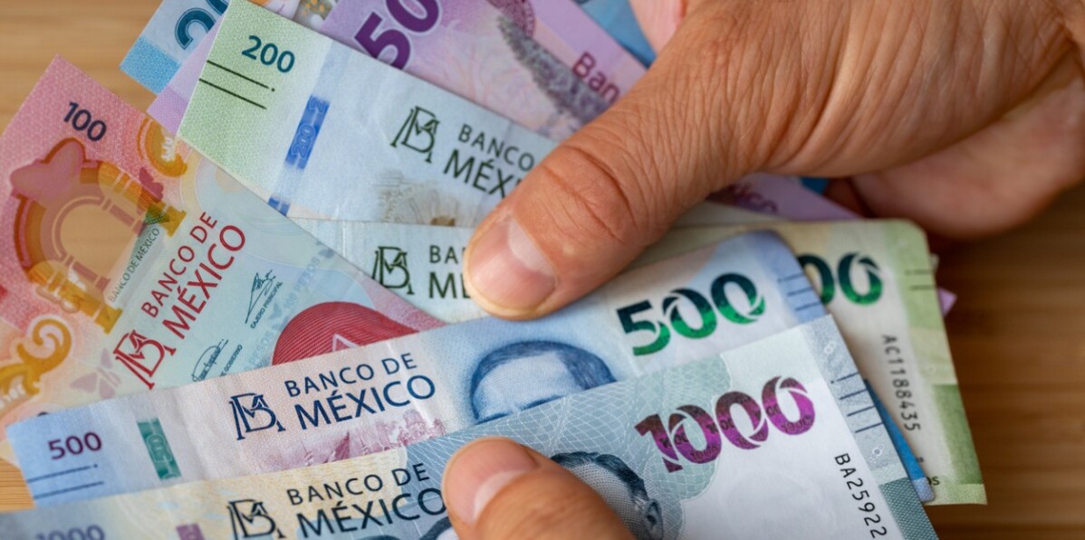Trabajador revisando pago de utilidades