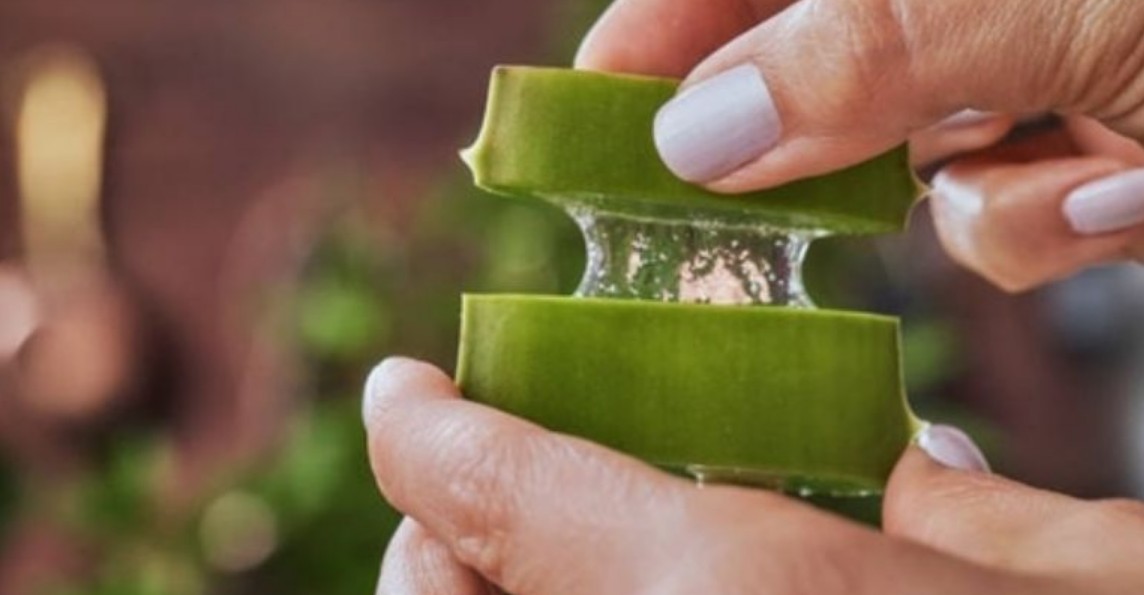 Persona aplicando aloe vera en el cabello