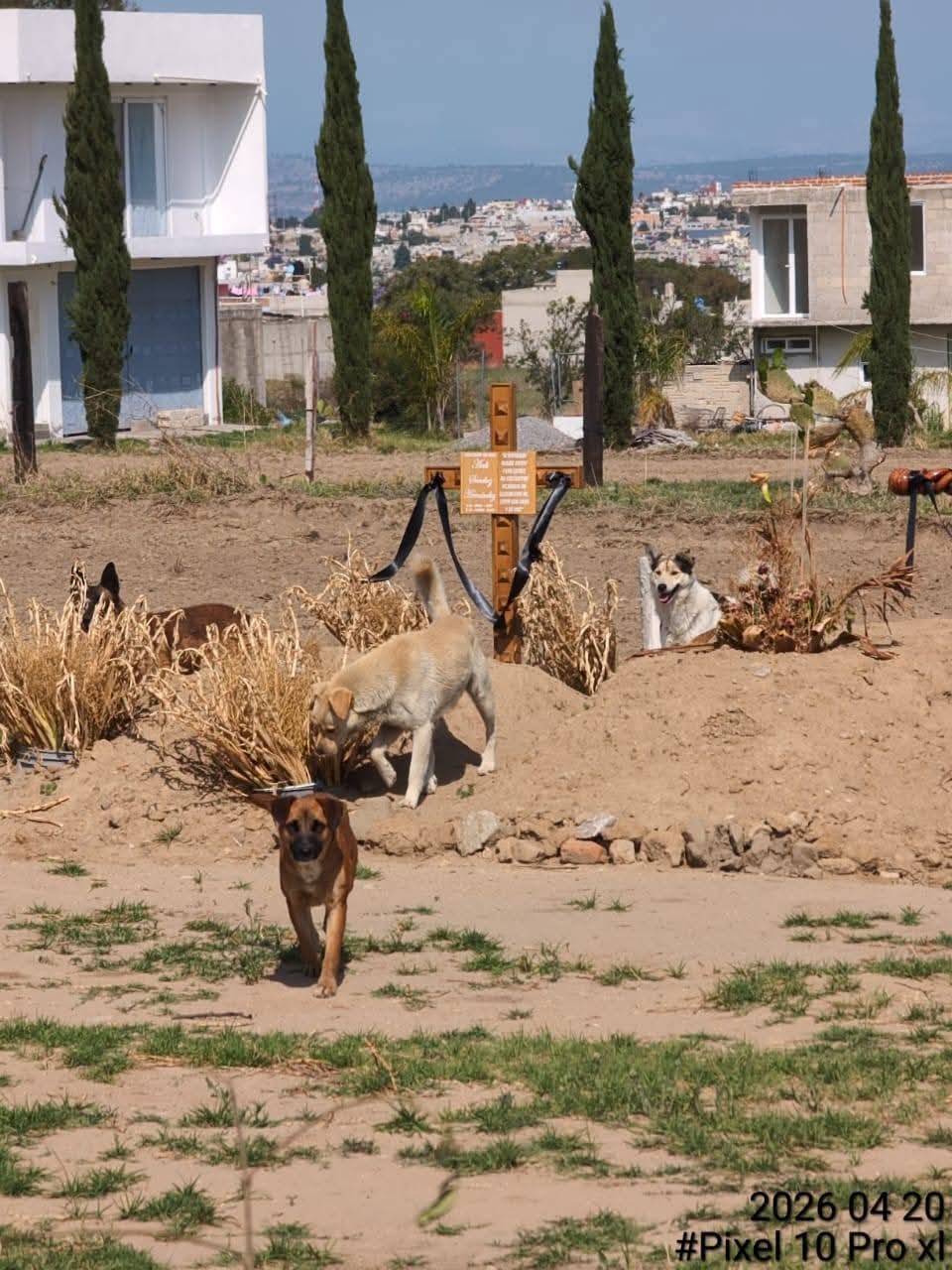 Operación ilegal y crisis sanitaria en panteón "Jardines del Recuerdo" en Chiautempan