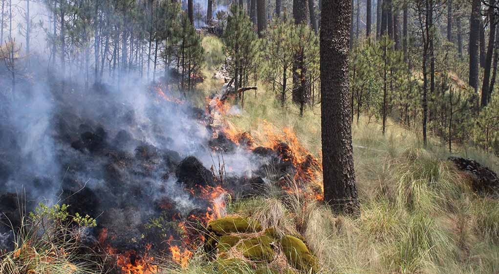 Puebla ocupa el cuarto lugar nacional en incendios forestales