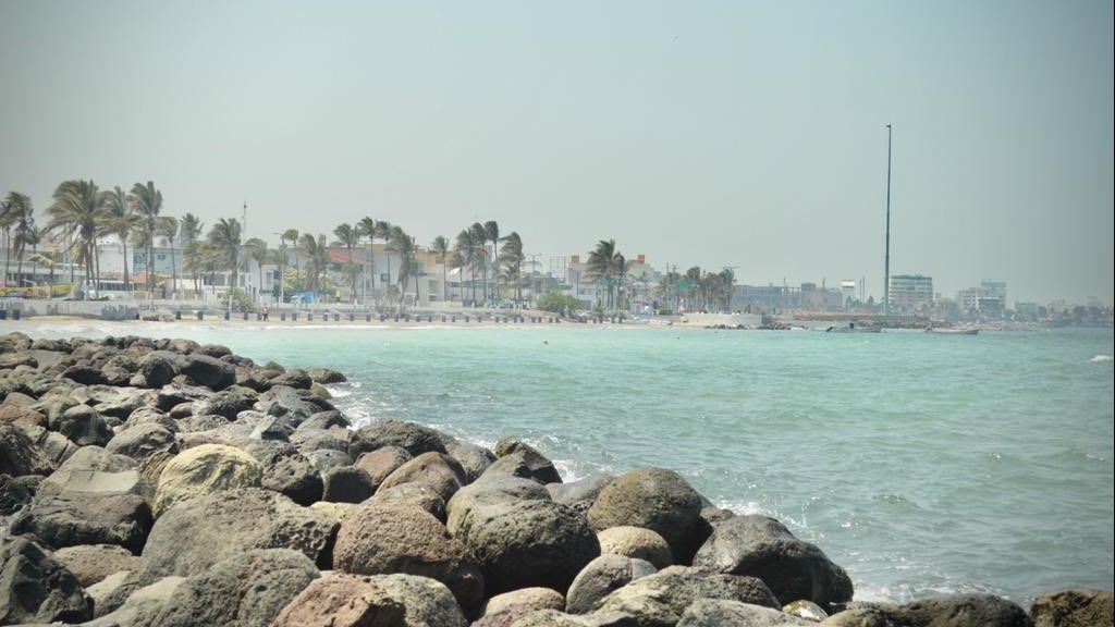 Playas de Veracruz se tiñen de turquesa y lucen limpias durante cuarentena