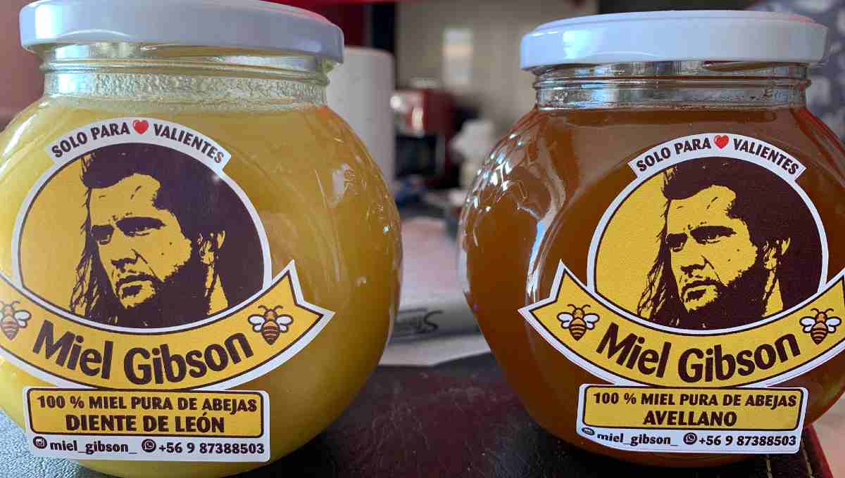 PYME chilena crea “Miel Gibson” y ahora enfrenta a abogados de Mel Gibson