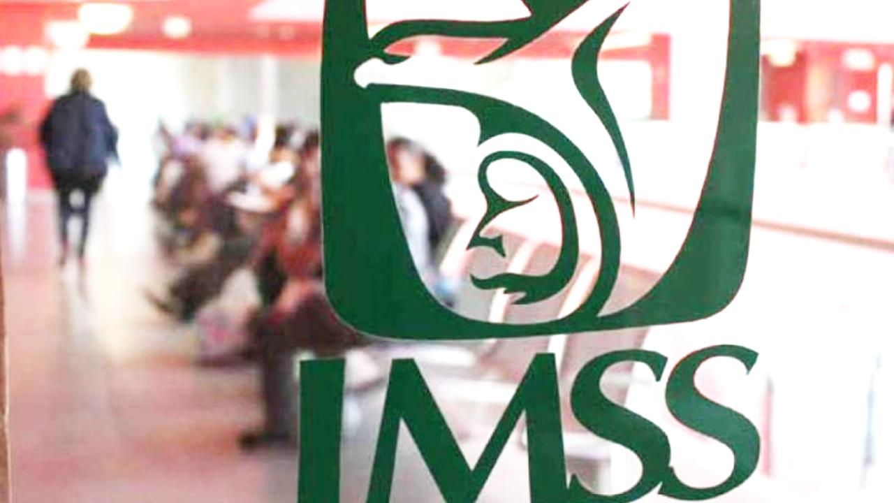 Rafael Caraveo, quien aparece en video de sobornos, tiene 56 contratos en 3 estados: IMSS
