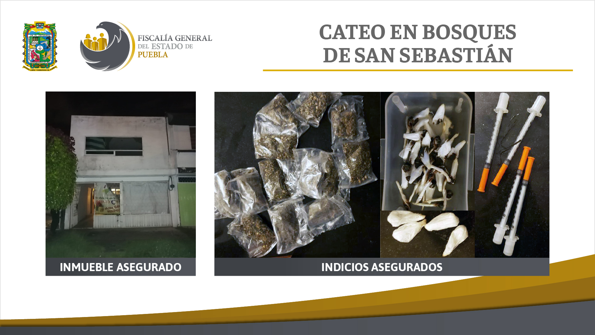 Cateo Bosques 