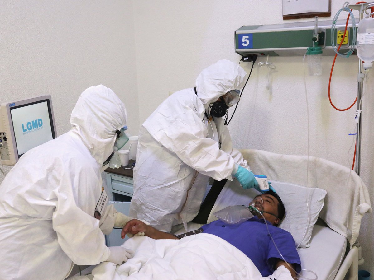 Hongo mortal que resiste a medicamentos aparece en México y ya van al menos 10 casos