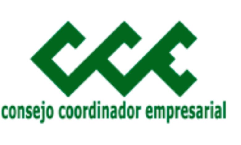 Daño a empresas por aumento al salario mínimo será perceptible en 4 meses: Presidente del CCE