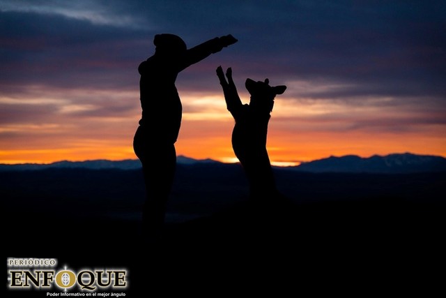 Beneficios de tener mascotas en la familia