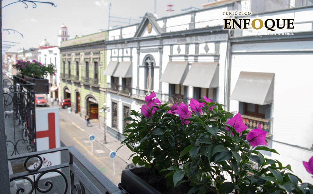 #JusticiaParaAleZayas, el pedido de justicia tras asesinato en pleno Centro de mujer transexual 