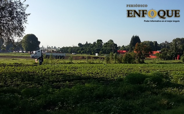 Cosecha San Pedro Cholula durante temporada invernal 600 hectáreas de hortalizas  