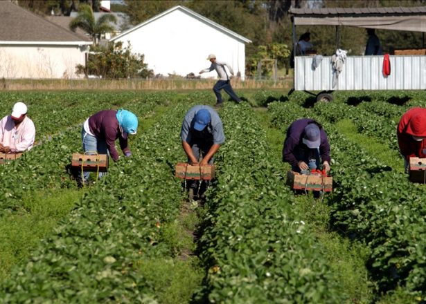 Vamos a trabajar con EU para regularizar a los migrantes mexicanos, asegura López Obrador