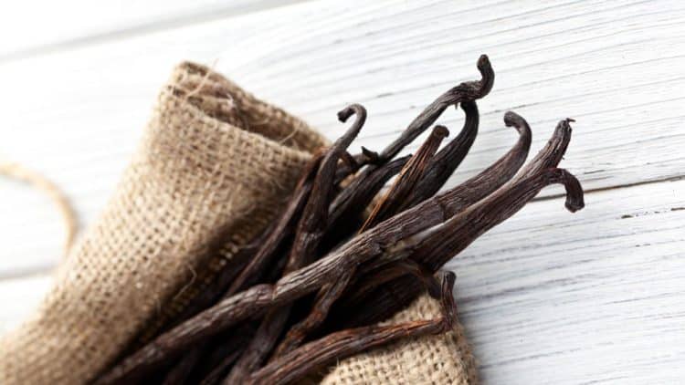 El 95% de la vainilla que se consume en México es ‘patito’, especialista