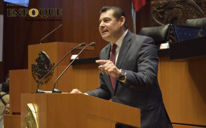 Armenta Mier se pronuncia por eliminar la tala ilegal de árboles