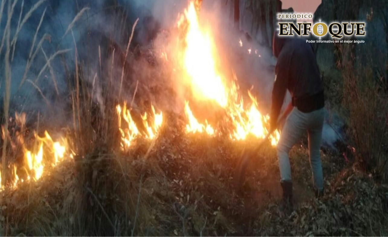 En lo que va del año, CONAFOR reporta 38 incendios forestales y 190 hectáreas dañadas 