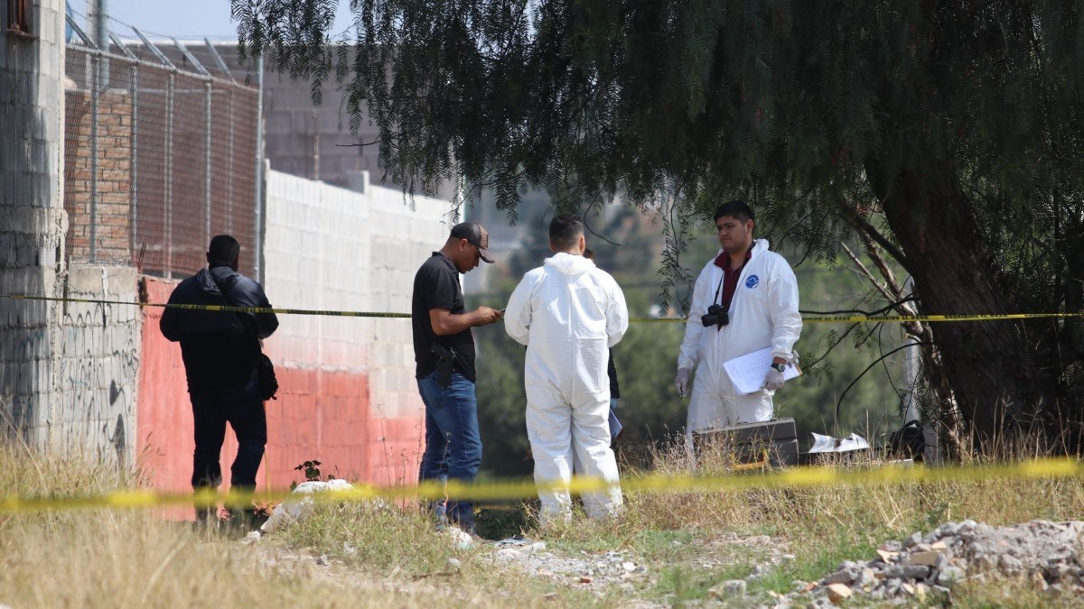 Madre que abandonó cuerpo de su bebé podría obtener su libertad