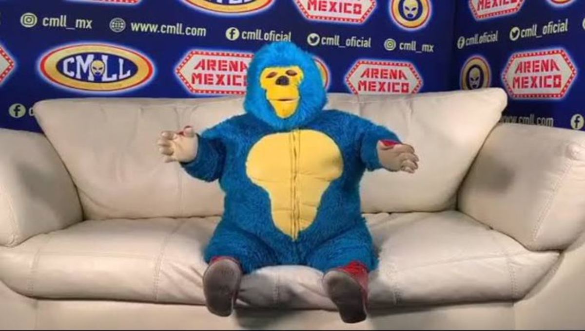 Kemonito: La celebridad de Internet que hoy festeja su cumpleaños