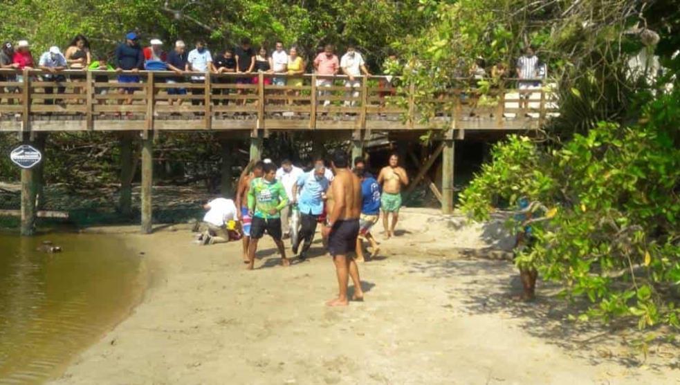 Cocodrilo muerde a niño de 6 años en playa de Ixtapa Zihuatanejo