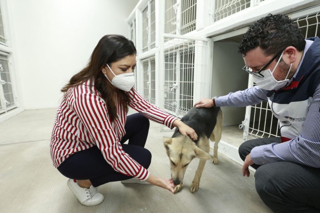 Ayuntamiento reconstruye centro atención animal