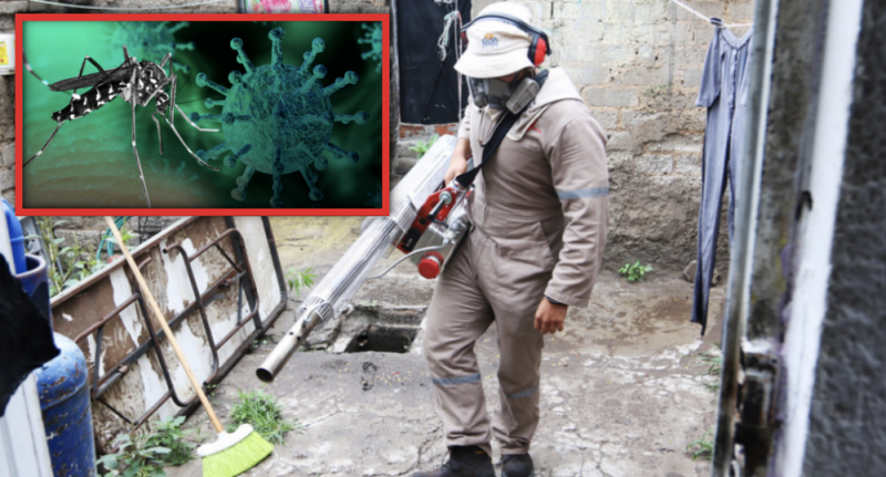 Reportan primera muerte por 'covidengue' en Jalisco