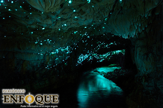 Cuevas de Waitomo, luminiscencia en Nueva Zelanda 
